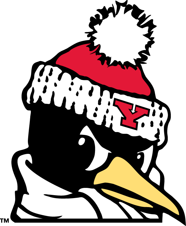 Youngstown State Penguins 1993-Pres Alternate Logo v9 diy iron on heat transfer